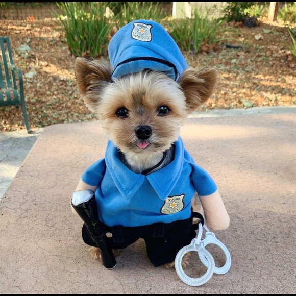 Police Dog Halloween Costume 2022 Police Dog Costume Clearance 57 Off Www Ingeniovirtual Com
